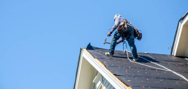 Best Flat Roof Repair Services  in Meadowdale, WA